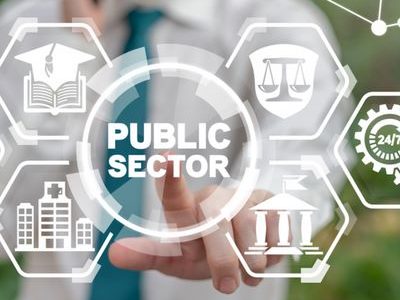 public sector